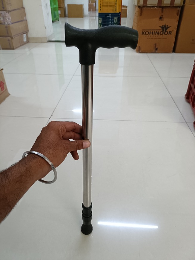 Walking Stick Single